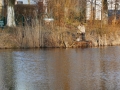 P1080206