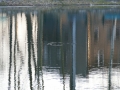 P1080232