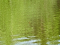 P1080336