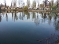 Staw_10[1]